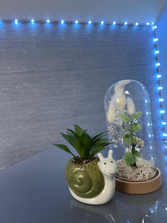 Quirky Attic بلاكبول المظهر الخارجي الصورة